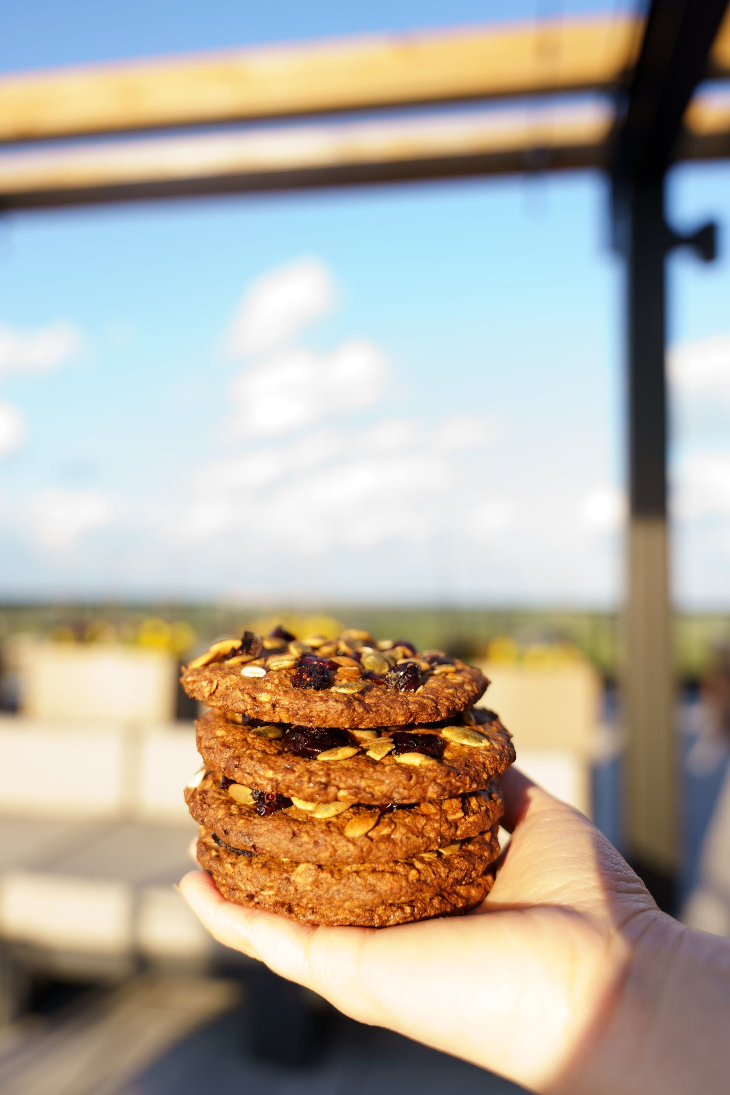 GLUTEN-FREE VEGAN OAT-CHERRY COOKIES (3 pack)