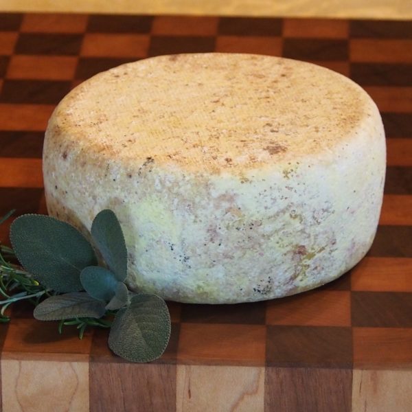 OLD GREY MARE - 1 lb.