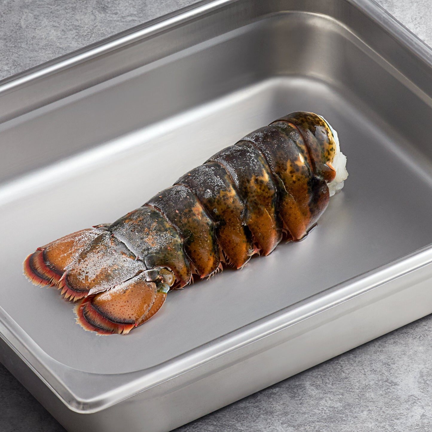 Boston Lobster Company 10 lb. Case of 8-10 oz. Lobster Tails