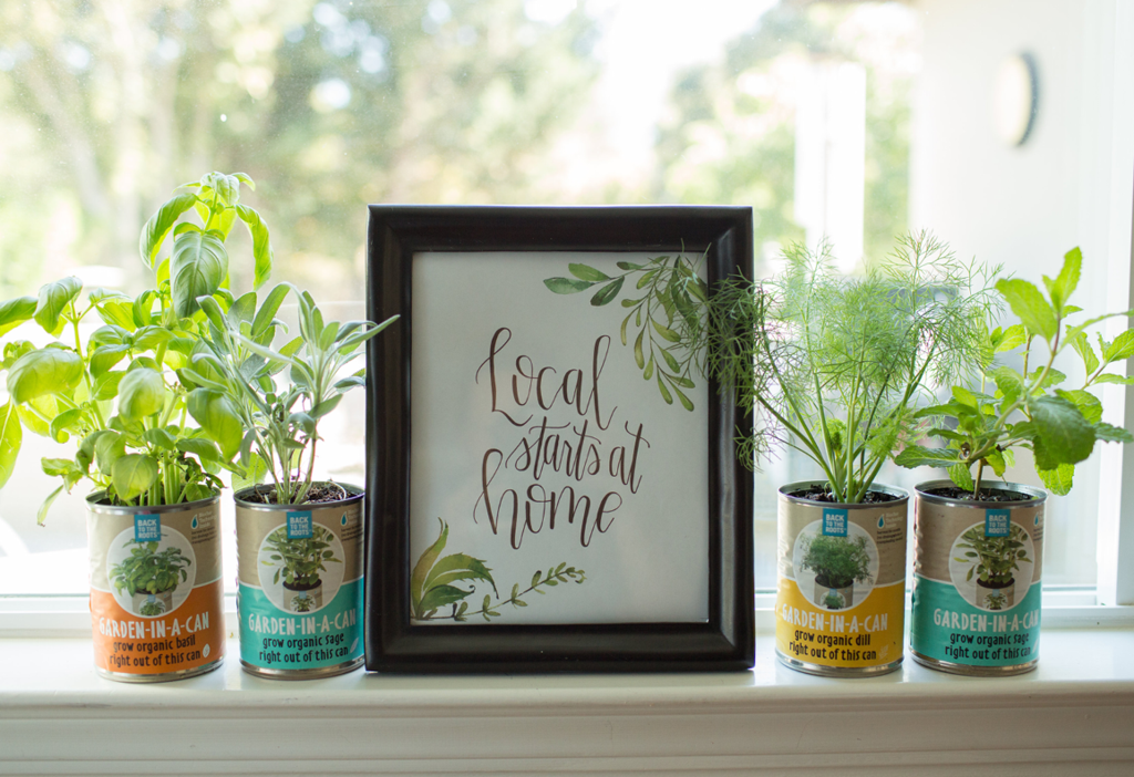 The Urban Homesteader Gift Set - Back to the Roots