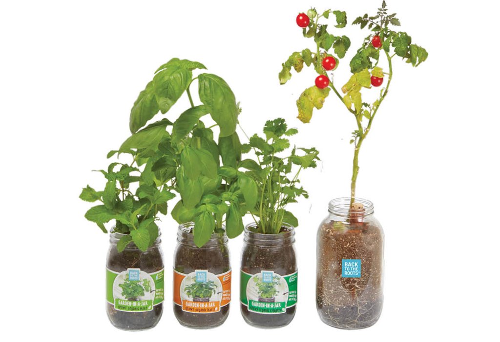 The Mason Jar Gift Set - Back to the Roots