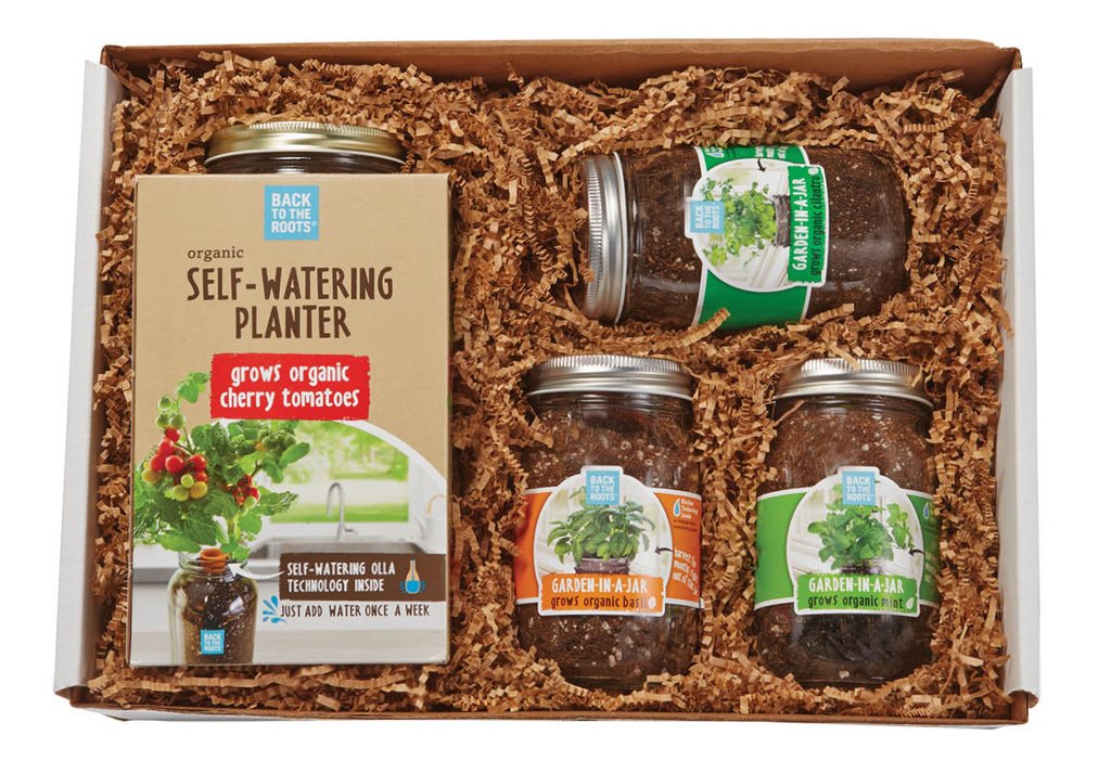 The Mason Jar Gift Set - Back to the Roots