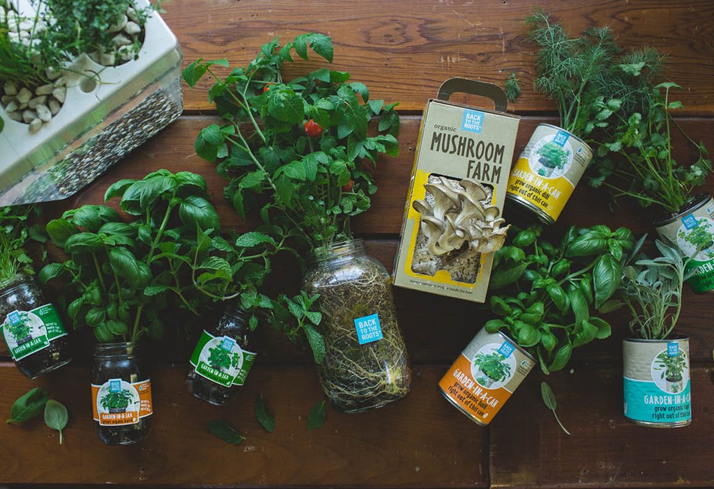 The Family Farmhouse Gift Set - Back to the Roots