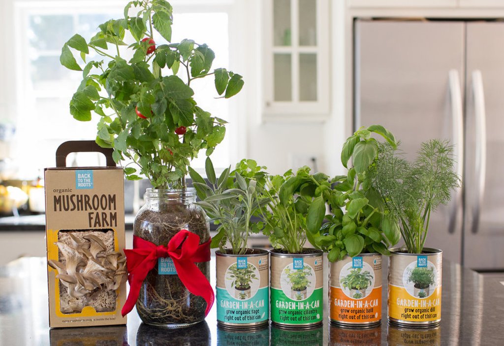 The Family Farmhouse Gift Set - Back to the Roots