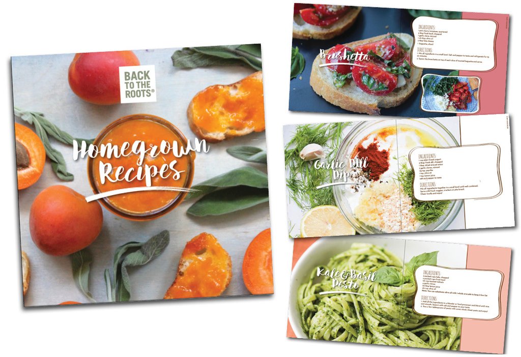 The Mason Jar Gift Set - Back to the Roots