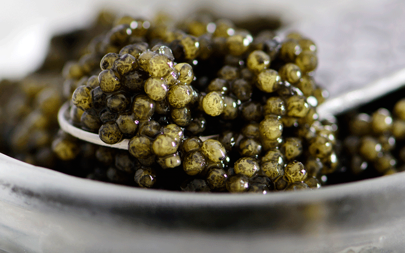 Ossetra Caviar - 4.37 oz