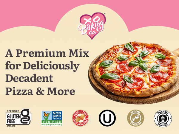 XO Baking Co. Gluten Free Pizza Crust Gourmet Baking Mix - Cinnamon Roll Mix; Non-GMO; Kosher; Rice, Dairy, Peanut, Soy and Grain Free, 16 oz - Pack of 6