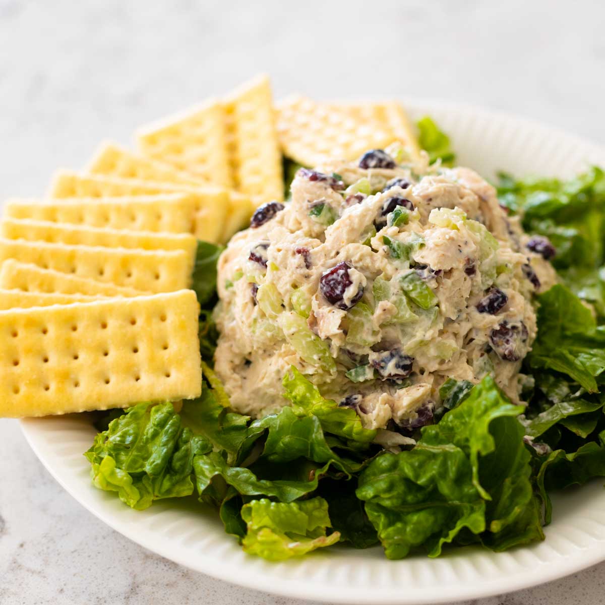 Traditional Cranberry Chicken Salad - 1 lb