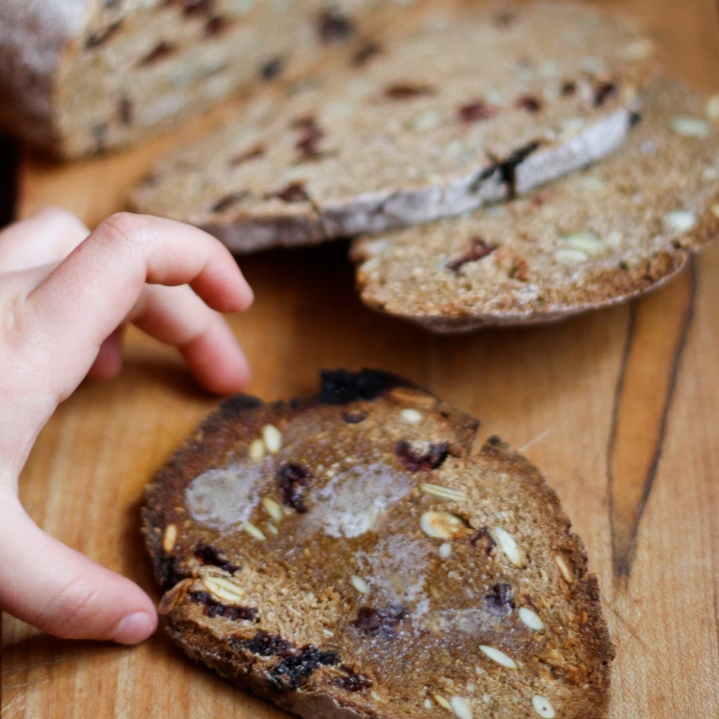 European Fruit & Nut Dark Rye Bread - Pack of 4
