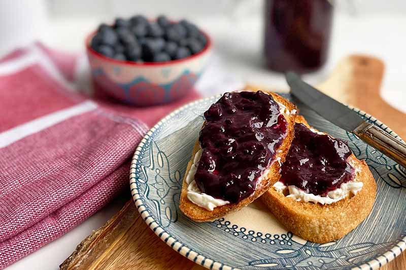 Southern City Flavors Wild Maine Blueberry Champagne Jam - 10 oz