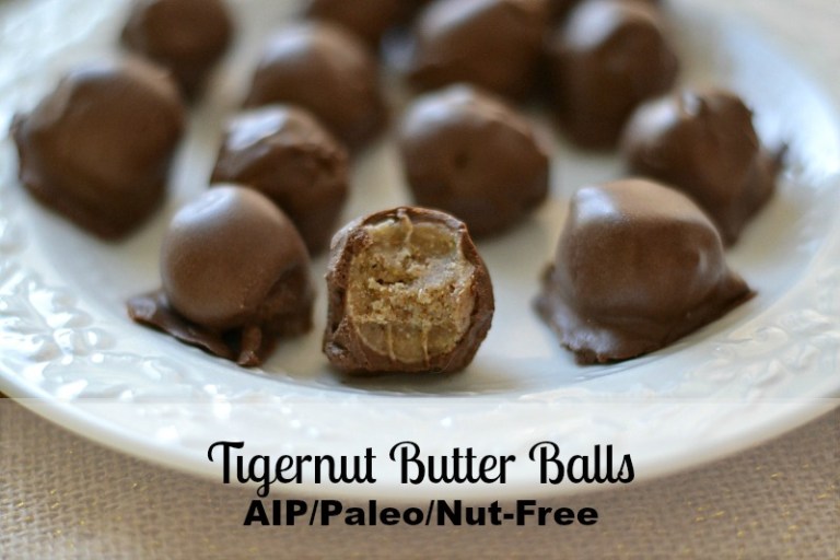 TigerNut Nut Butter - AIP and Paleo Compliant - 8 oz - Pack of 2