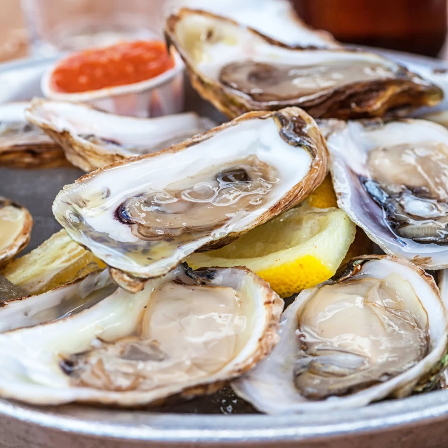 East Coast Oysters Collection Kit - 6 each of 4 Oyster Variety