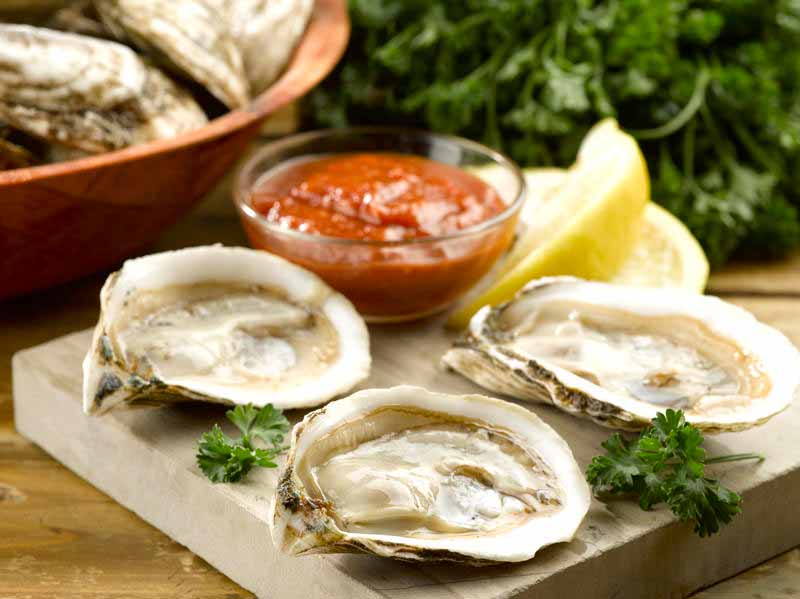 East Coast Oysters Collection Kit - 6 each of 4 Oyster Variety