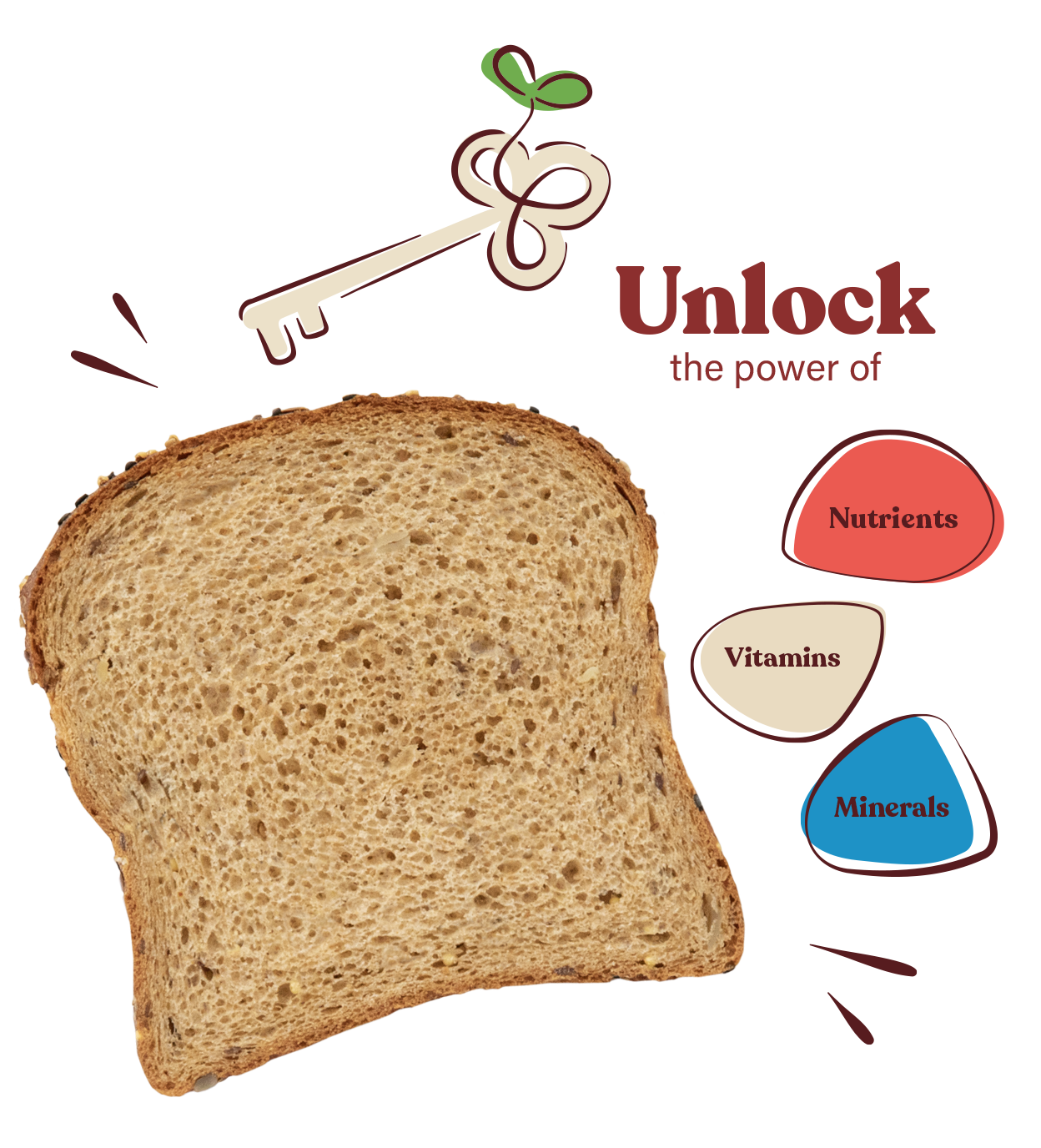 Silver Hills The Big 16 Bread, Low Fat Bread, Made with Organic Sprouted Grains, Non-GMO - Pack of 4