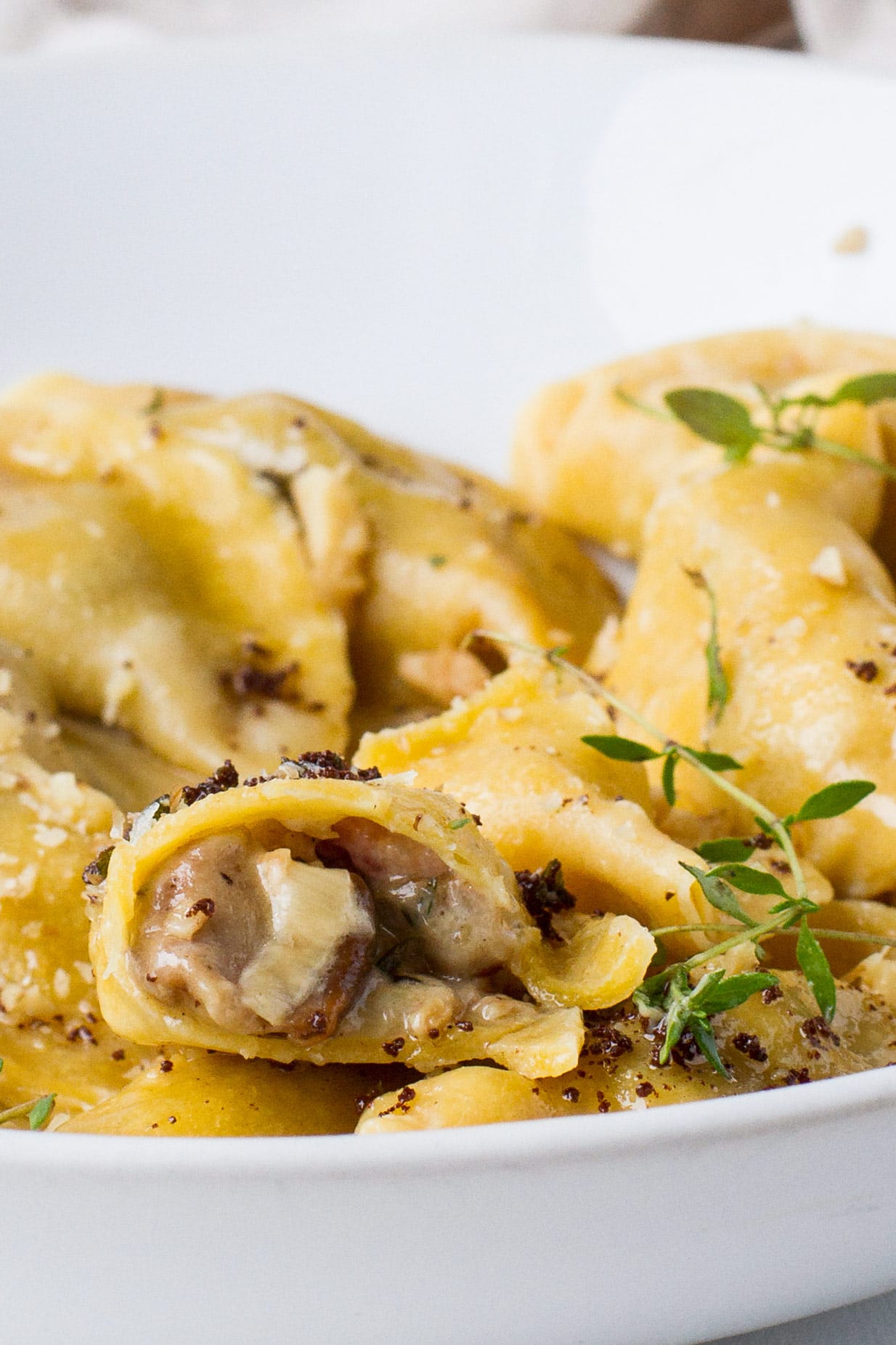 Gourmet Handmade Ravioli Variety Collection, Non-GMO - Pack of 6
