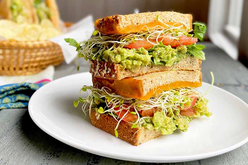 Organic Whole Grain Sprouted Sourdough Bread