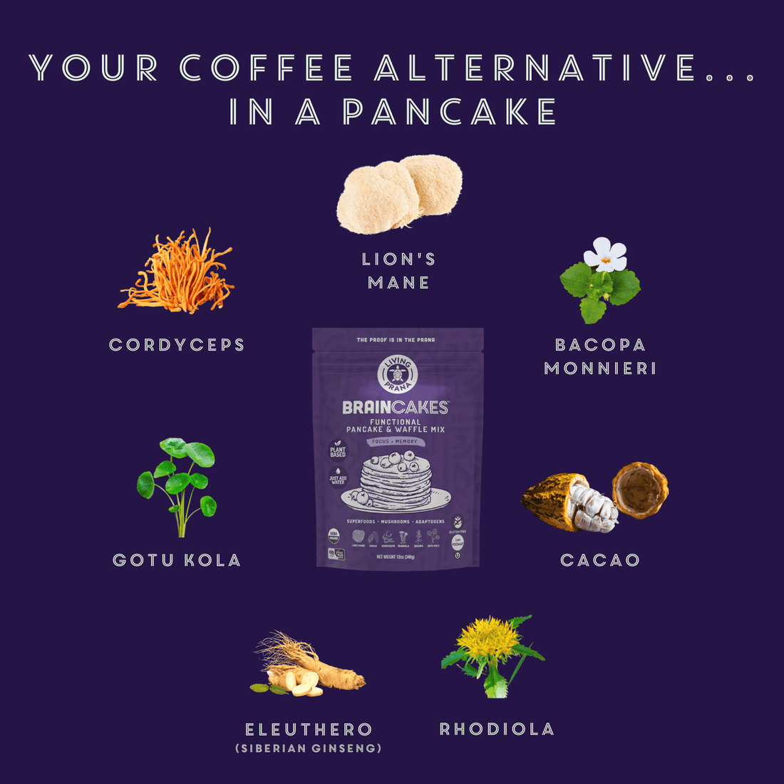 BrainCakes Superfood Organic Pancake & Waffle Mix - Gluten Free