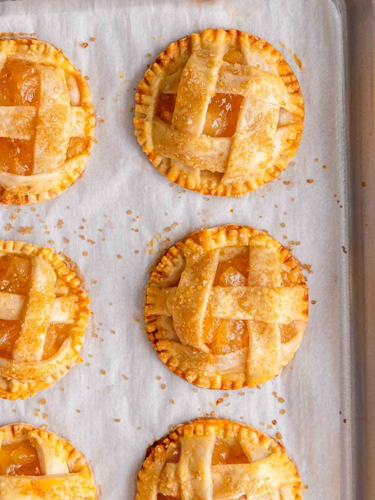 Gourmet Fresh Baked 4” Mini Pies - Blueberry, Cherry, Peach, & Apple