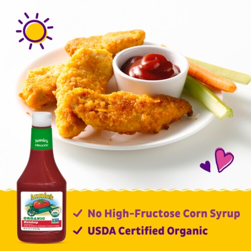 Annie's Homegrown Organic Ketchup - 24 oz - Pack of 2