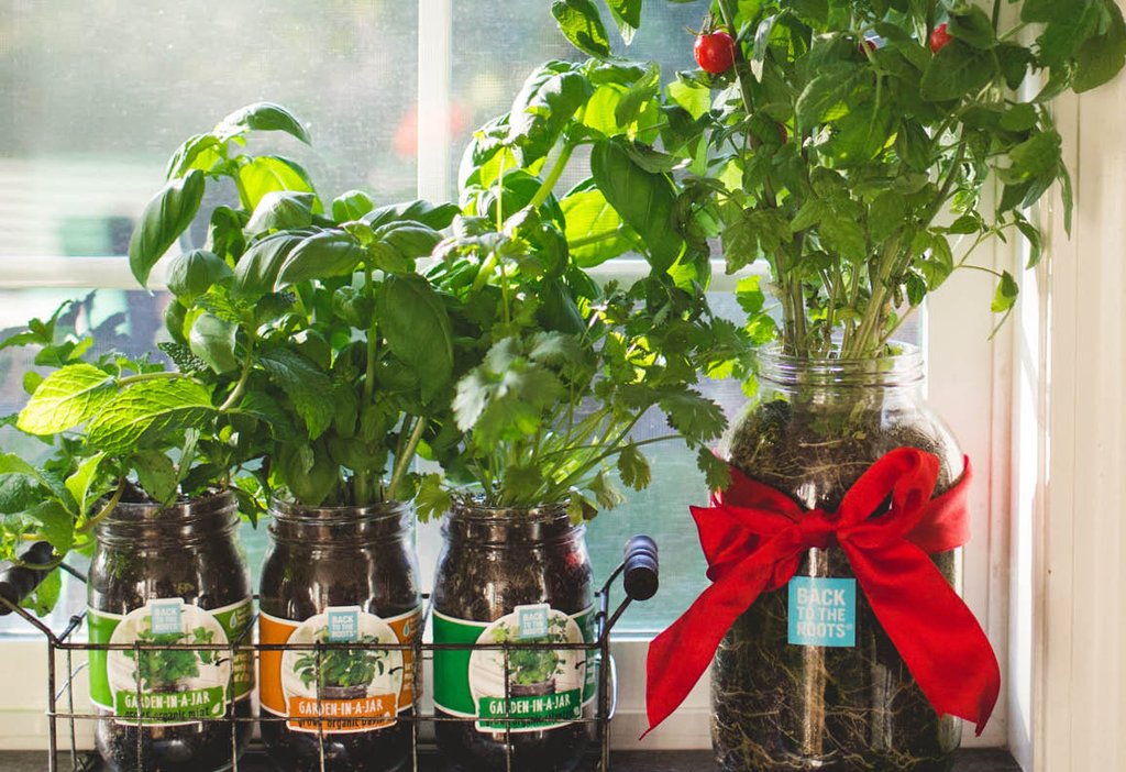 The Mason Jar Gift Set - Back to the Roots