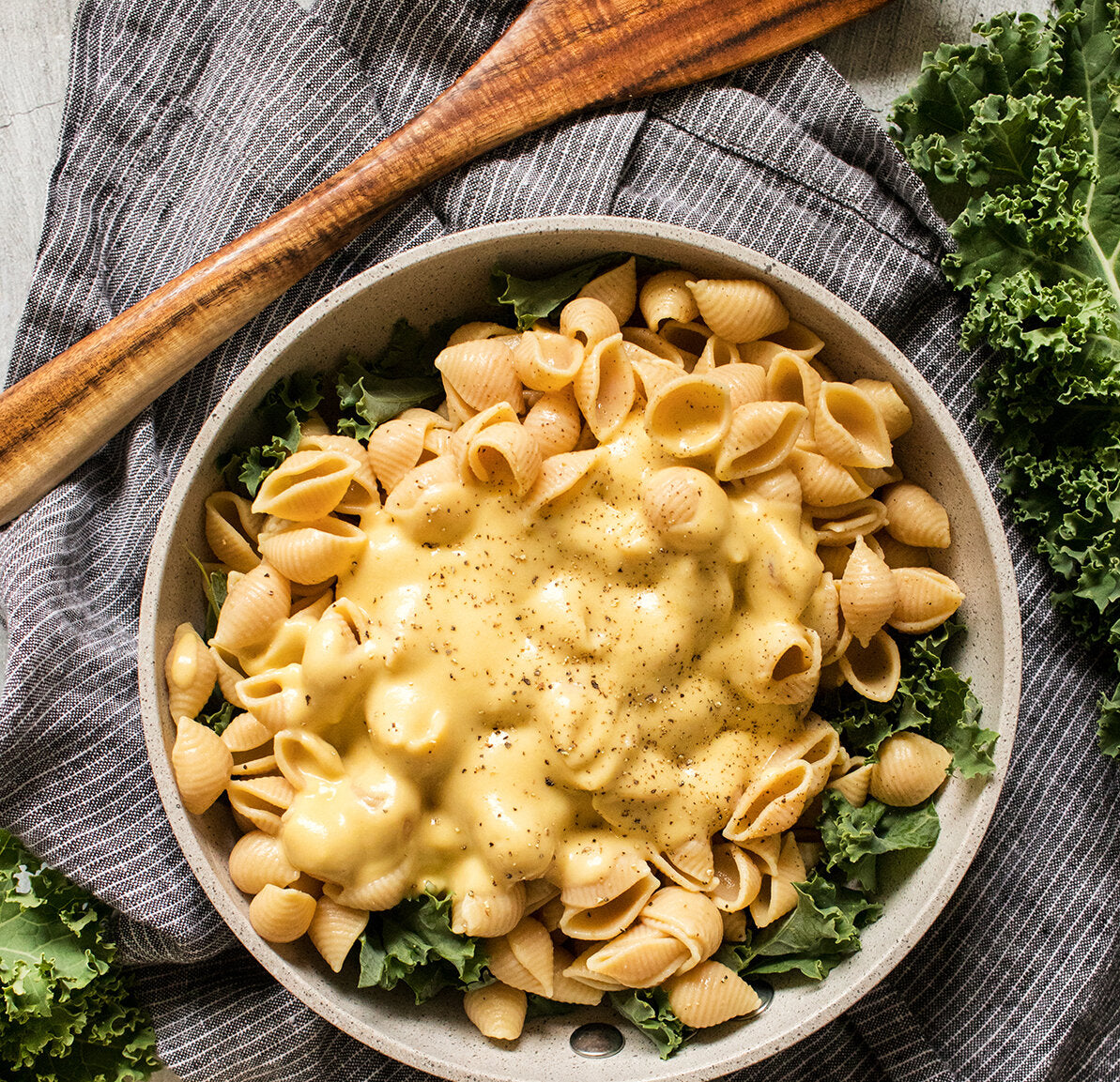 Plant Based Cheesy Dips Sauces (Variety Pack) - Set of 5 - The Honest Stand