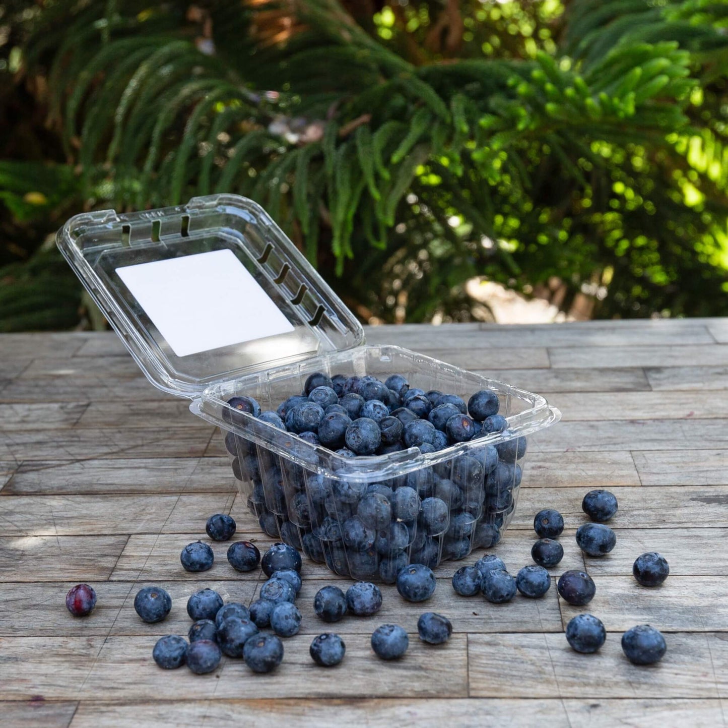 Organic Blueberries - 88 oz / 3 lb
