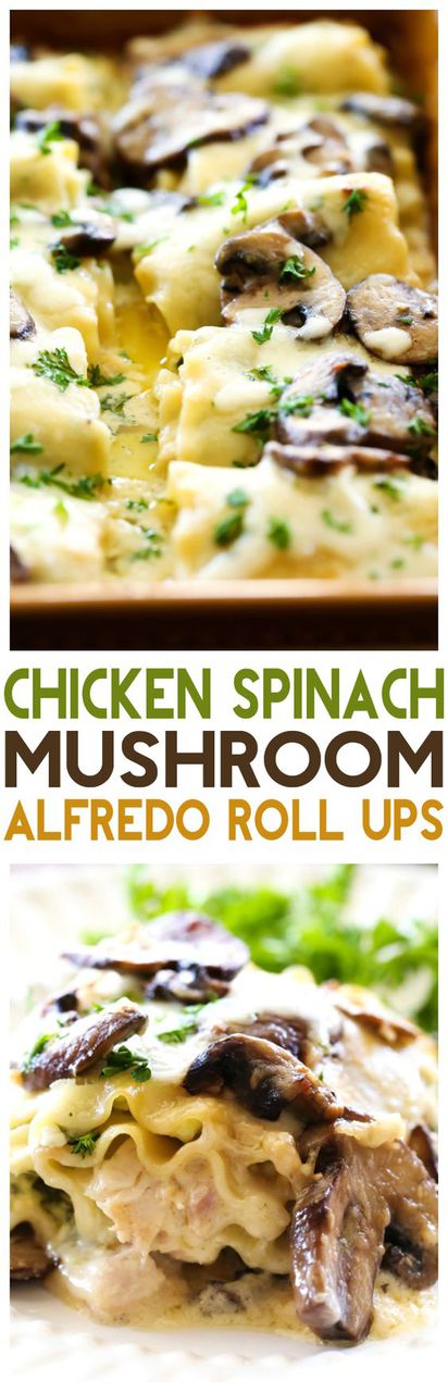 Chicken Spinach Mushroom Alfredo Roll Ups
