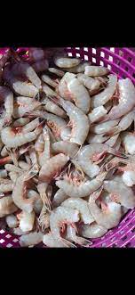 Jumbo Fresh Shrimp from Murrells Inlet - 5 lb