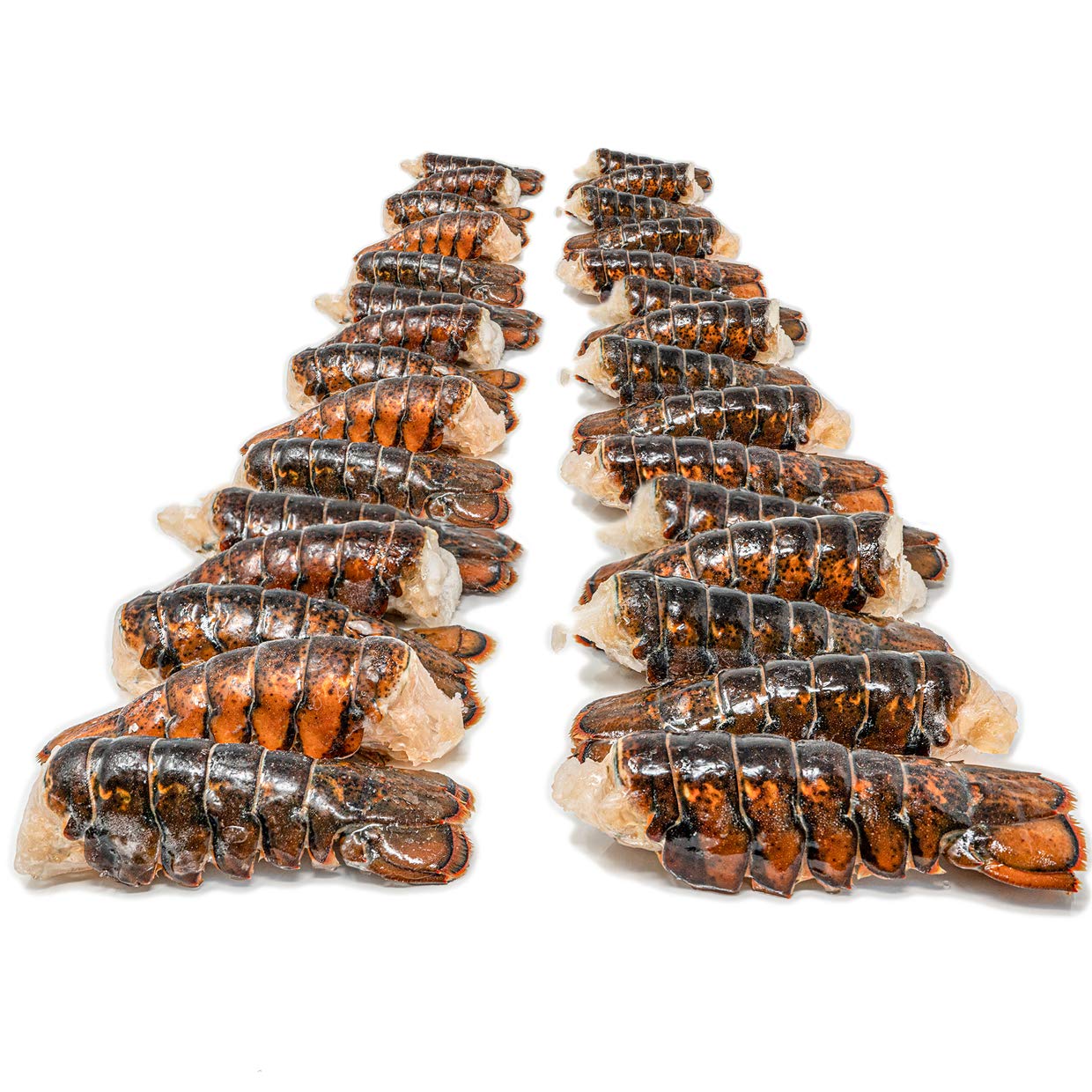 Fresh Frozen Lobster Tails from Maine - Antibiotic Free - 10 of 5 oz ea