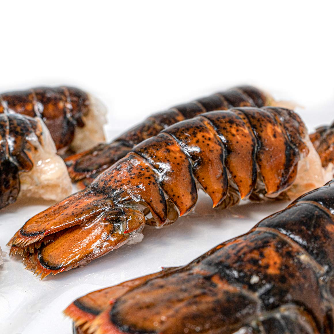 Fresh Frozen Lobster Tails from Maine - Antibiotic Free - 10 of 5 oz ea
