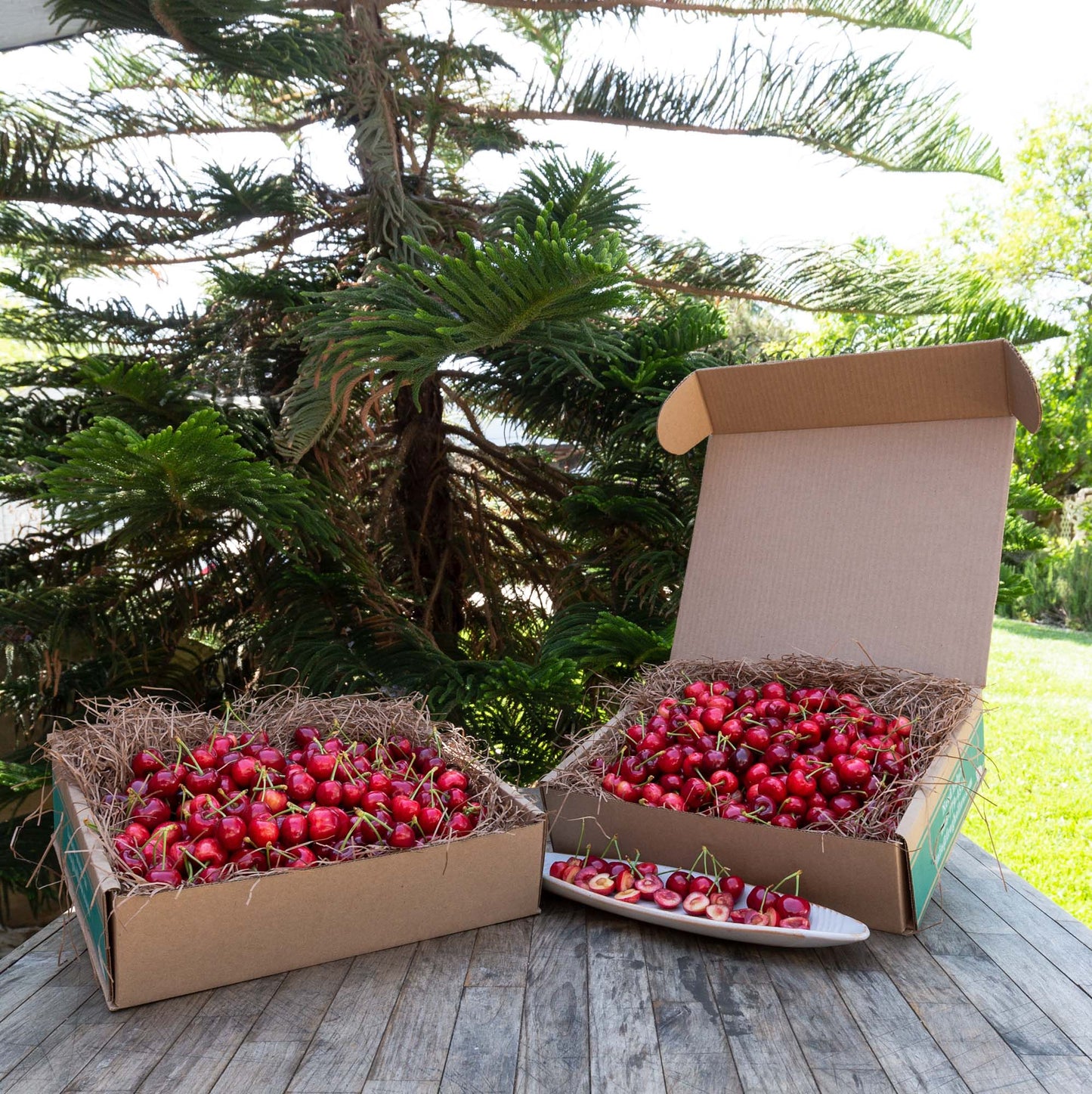 Organic Cherries- 5 lb