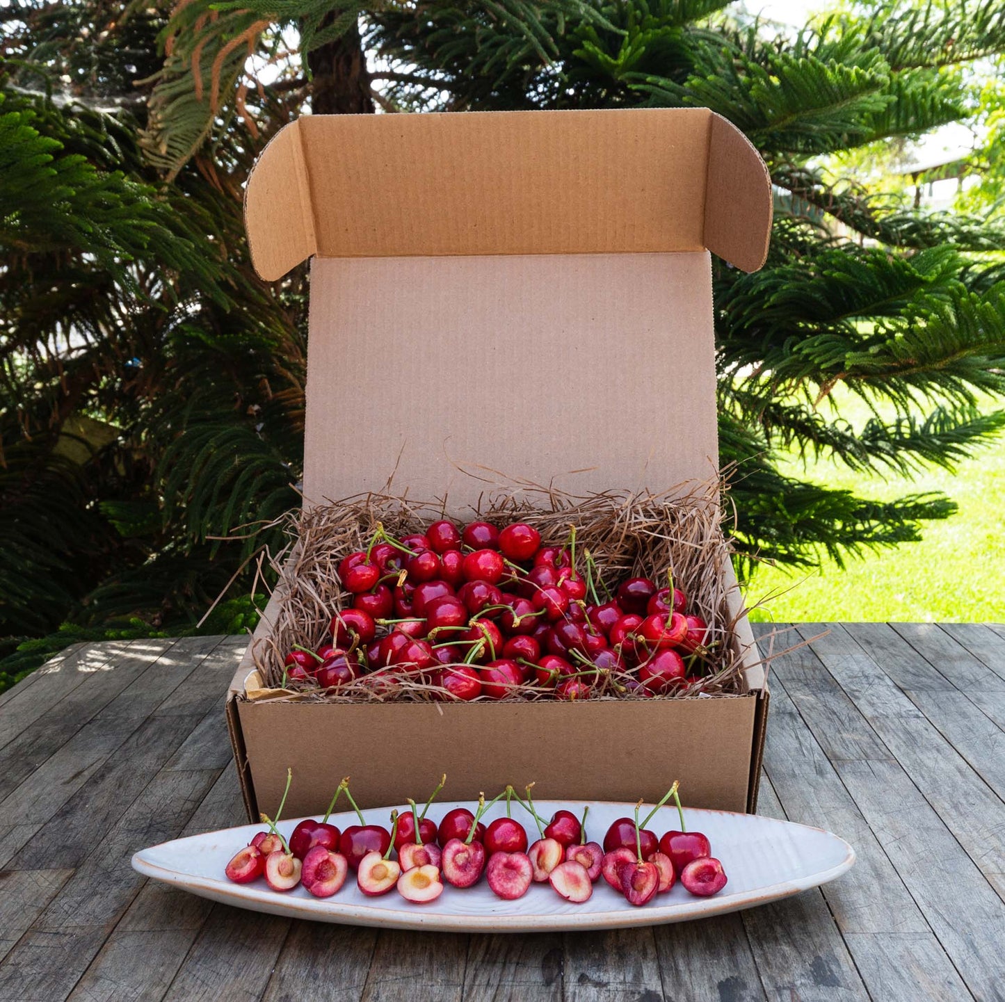 Organic Cherries- 5 lb