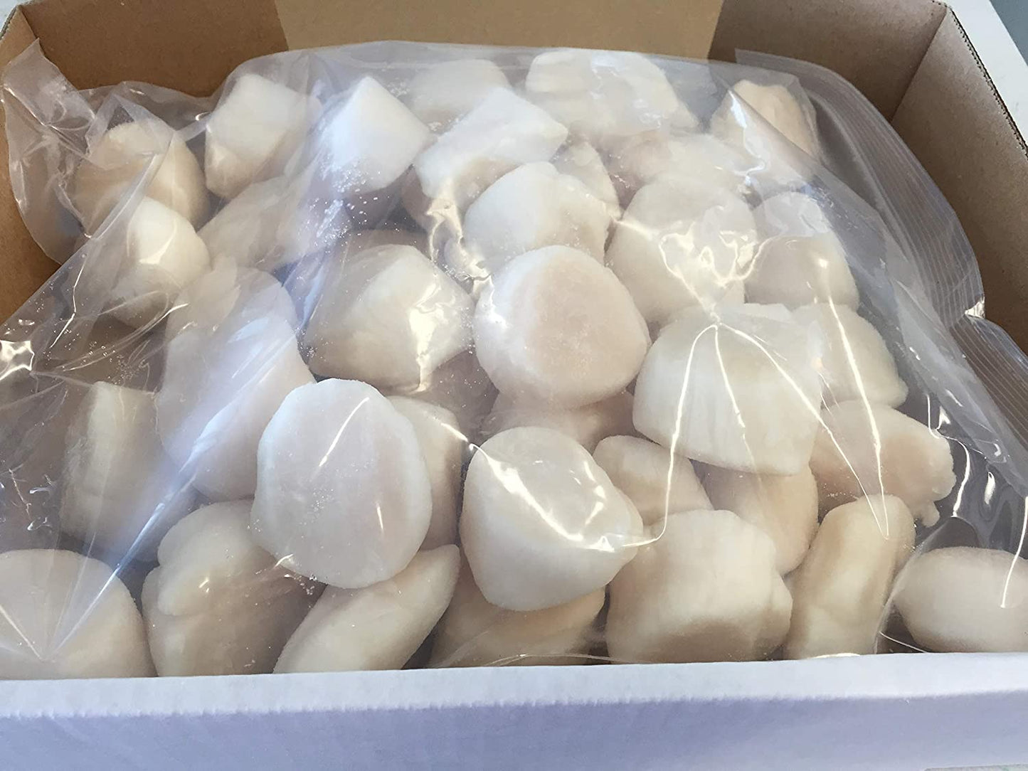Jumbo Maine Sea Scallops U/10 Diver Scallops - 4 lbs