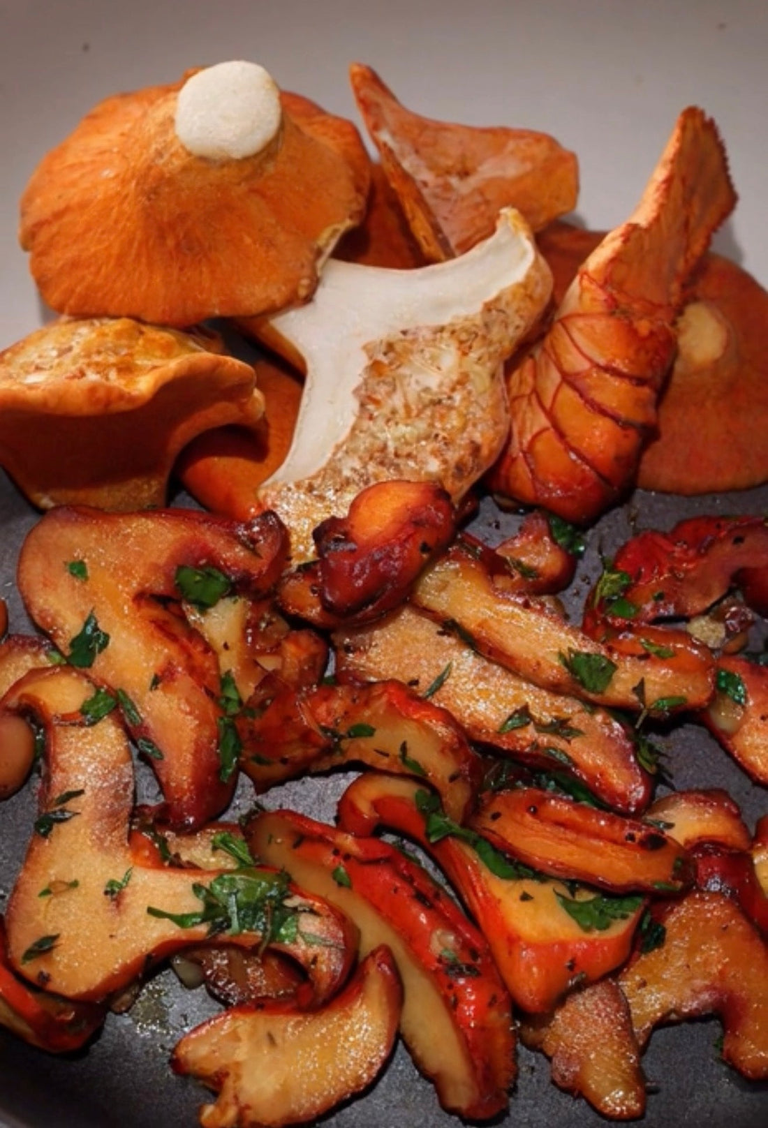Fresh wild-foraged lobster mushrooms from FCN Farms — vivid orange-red and meaty