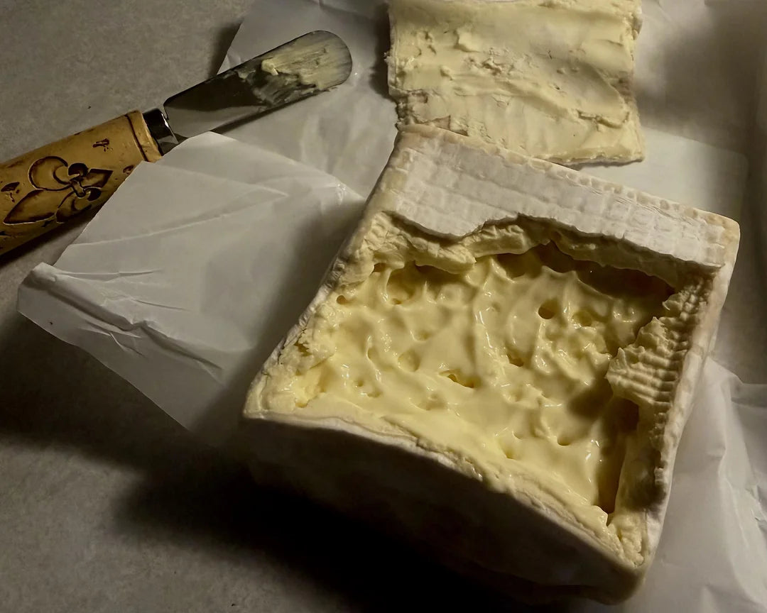 A close-up of Trillium cheese wheel with large holes, partially unwrapped with white paper and a small knife with a floral-patterned handle.
