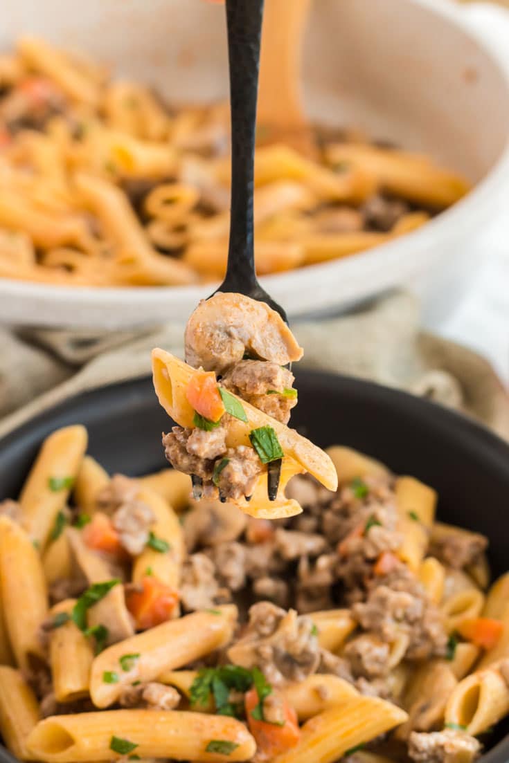 Beef Stroganoff Skillet Superstar Kit – Dairy-Free & Seed-Free!