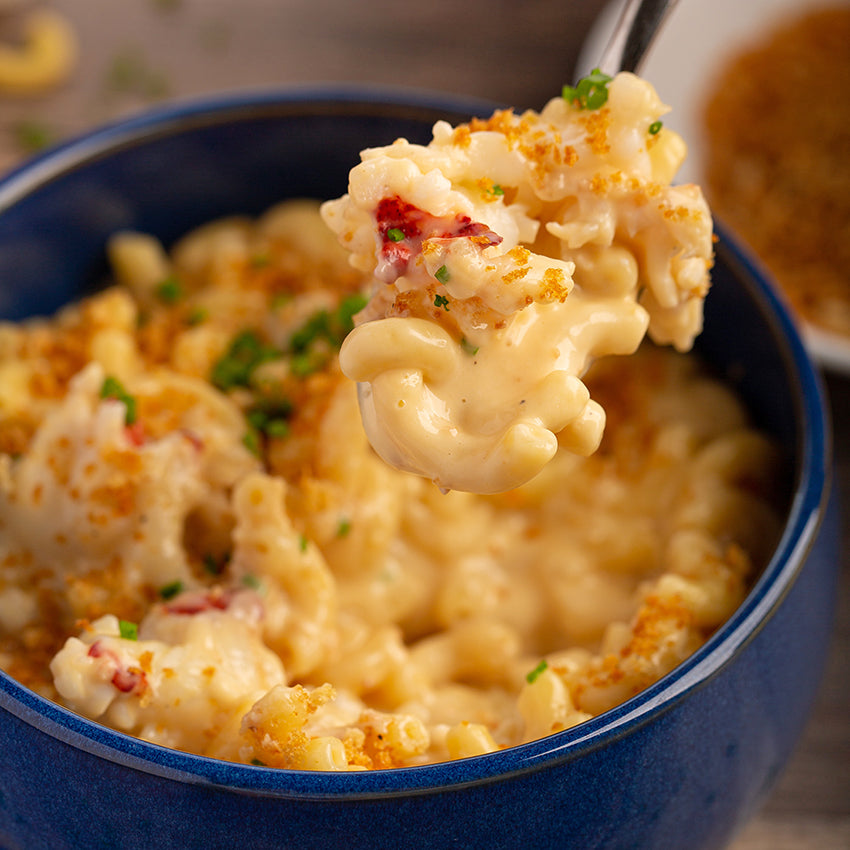 MAINE LOBSTER MAC AND CHEESE - 2 single servings 9 oz each