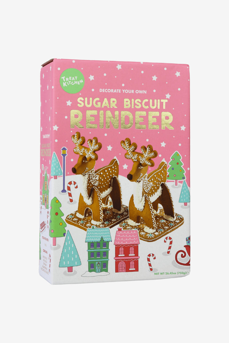 Enchanted Gingerbread Reindeer Decorating Kit