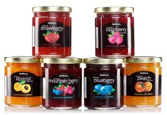 Sugar Free Raspberry Fruit Jam - 10 oz. Jar - XyloBurst