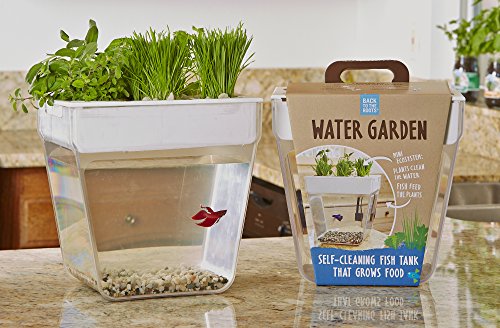 Water Garden 2.0 - Back to the Roots - self watering fish tank