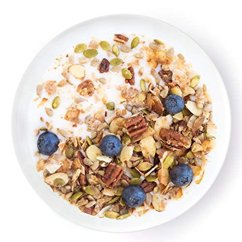 Keto Blueberry Nut Granola Healthy Breakfast Cereal