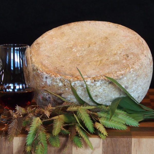 CAPTAIN OGDEN CHEESE - 1 lb.