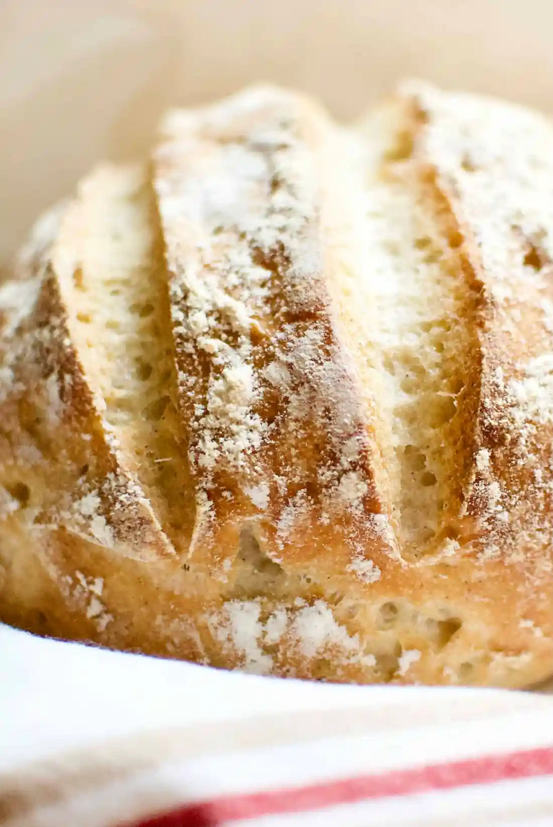 Rustic Italian Bread | Gluten-Free · Vegan