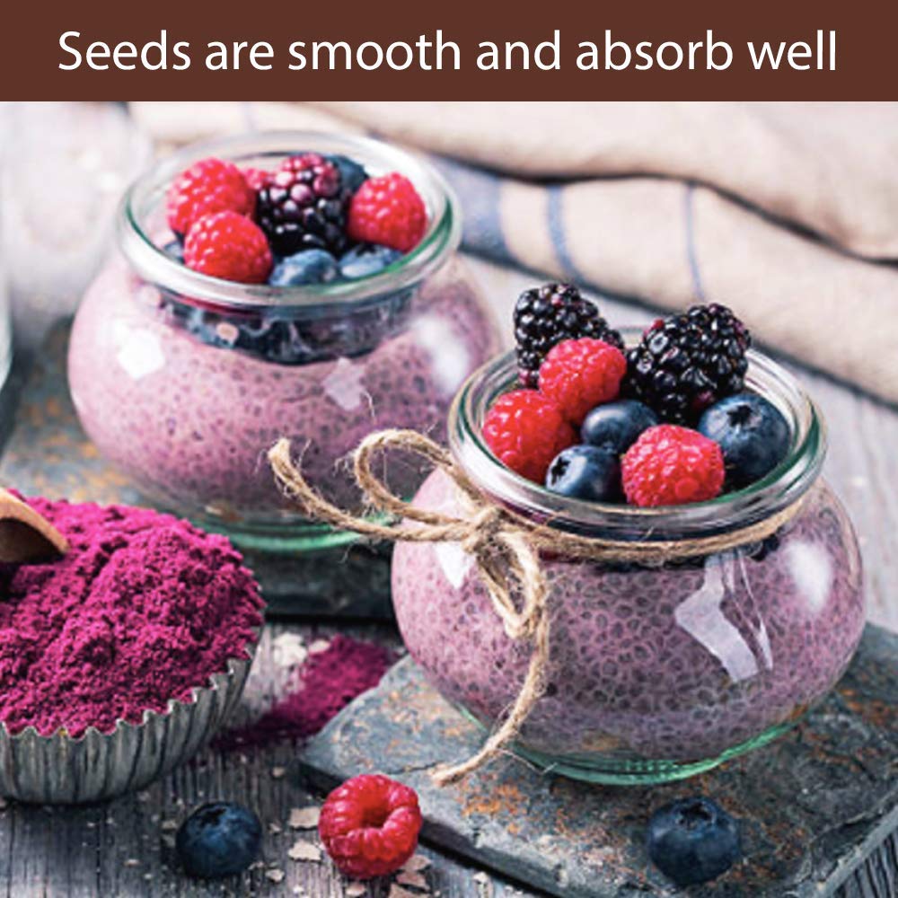 Roots Circle Non-GMO Bulk Chia Seeds | 2.2lb Raw Superfood