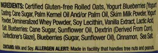 Blueberry Blitz Gourmet Oatmeal, 3.1 oz - Pack of 12