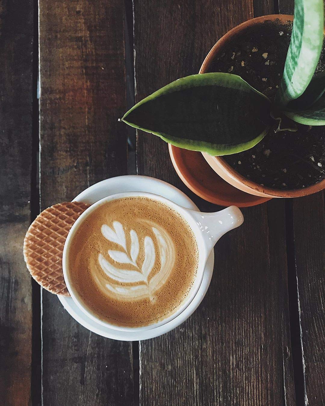 Stroop Club Authentic GF Vegan Stroopwafel Dutch Caramel - 12 x 2-Packs; 24 Wafels Total