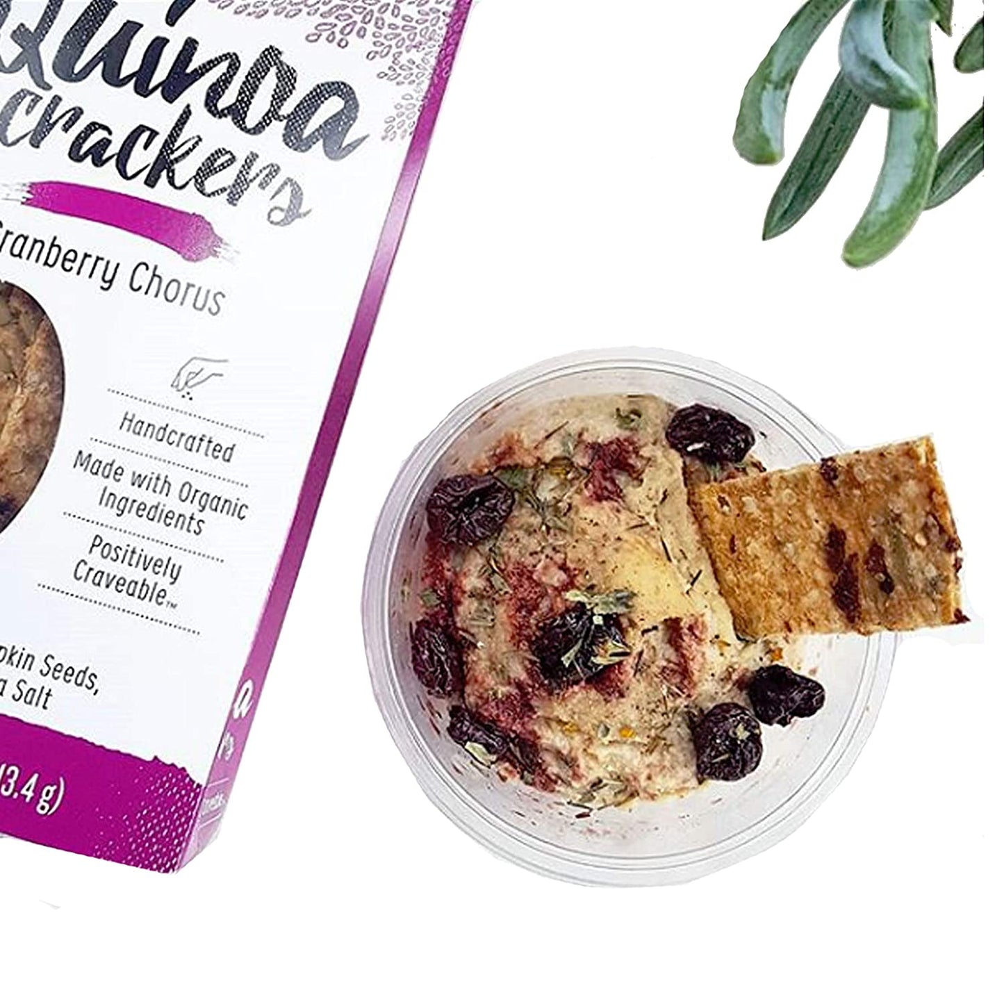 Organic Quinoa Crackers - Variety Pack - Pack of 4 - New Beat Foods