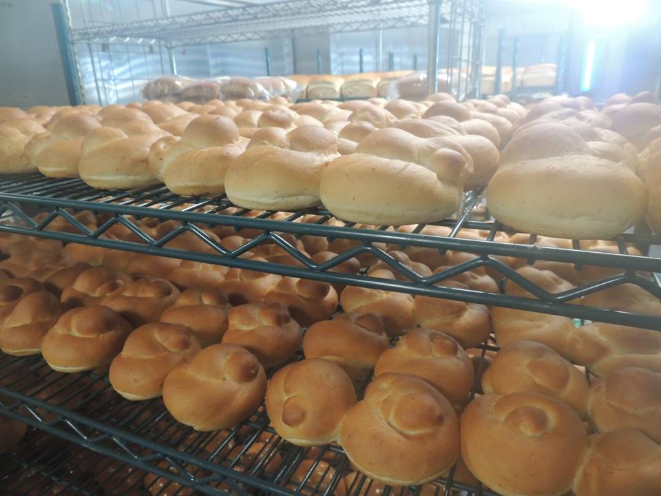 Organic Blessed Bagels- 6 pk