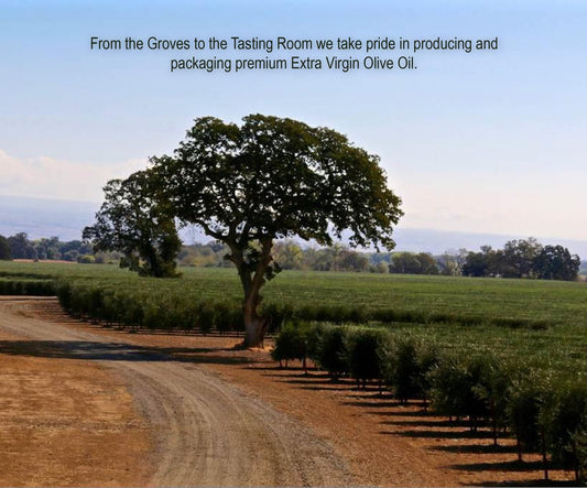 Deluxe Sampler Gift Pack Olive Oils & Balsamic Vinegar's