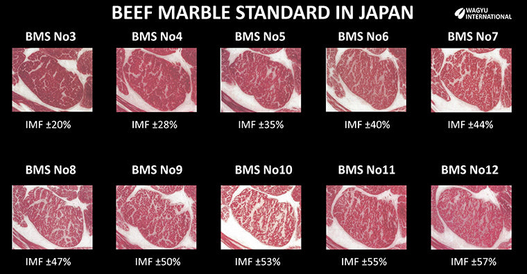 New Zealand Japanese 100% Grass Fed Wagyu Tenderloin - 5 lbs